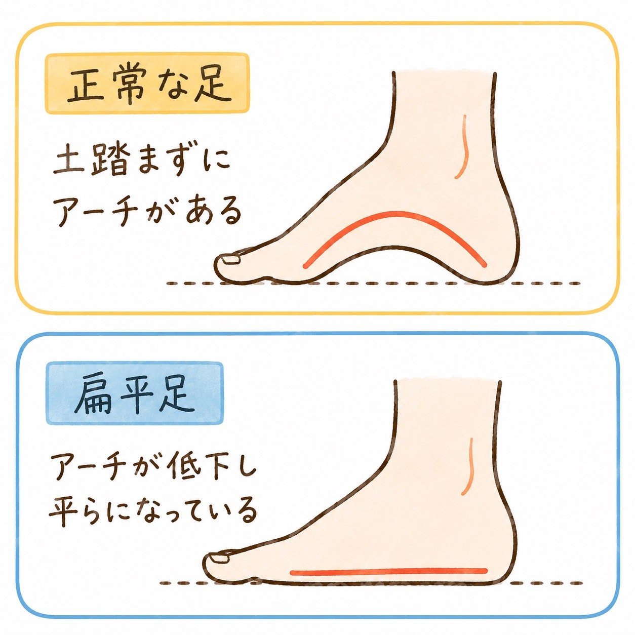 S__84459524